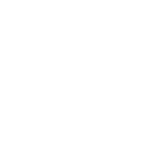 phone-icon-white